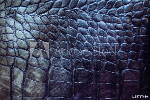 Picture of Reptile leather texture